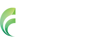 Focus on the solution ltd